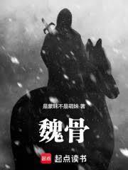 魏骨晋风简介